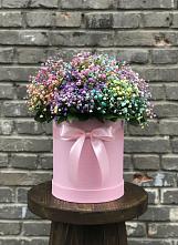 Цветочная композиция из Гипсофила и Розы в шляпной коробке в Жучки