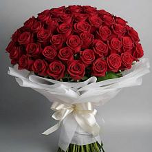 Букет 101 Красная роза Блэк Мэджик в Жучки