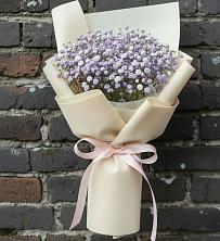 Букет цветов из:  Гипсофила в Жучки