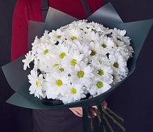 Букет цветов из:  Хризантемы #REPLACE_PRED# Жучки