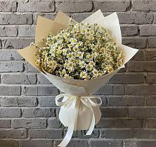 Букет цветов из:  Ромашки в Жучки