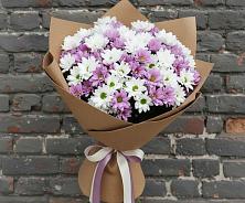 Букет цветов из:  Хризантемы в Жучки