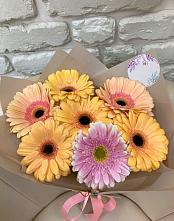 Букет цветов из:  Герберы в Жучки