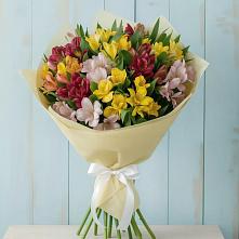 Букет цветов из:  Альстромерии в Жучки