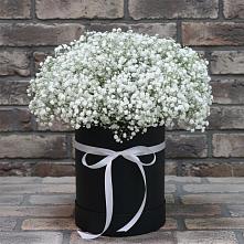 Цветочная композиция из Гипсофила в шляпной коробке #REPLACE_PRED# Жучки