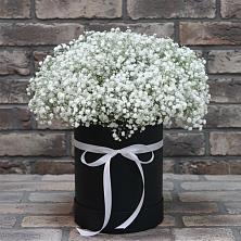 Цветочная композиция из Гипсофила в шляпной коробке в Жучки