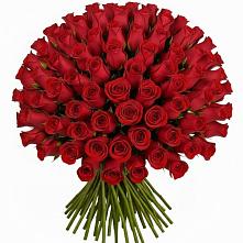 Букет Красные розы Чери Лав в Жучки