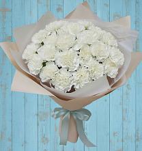 Букет цветов из:  Гвоздики #REPLACE_PRED# Жучки