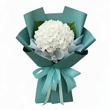 Букет цветов из:  Гортензия #REPLACE_PRED# Жучки